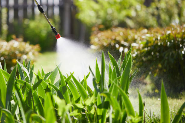 24/7 Emergency Ant Control experts in Oneida, TN